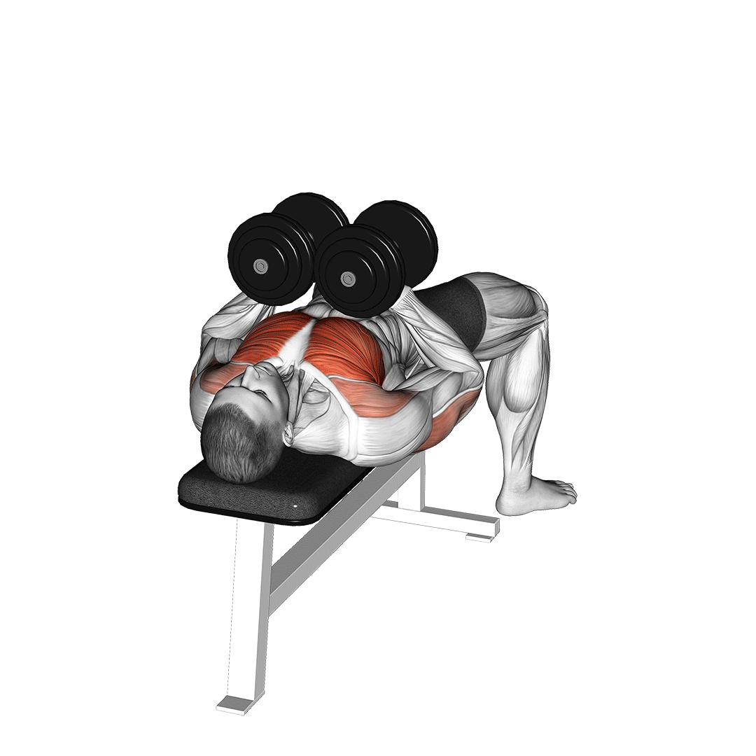 پرس سینه دمبل چسبیده (Dumbbell Hex Press) — حرکت سینه (آموزش تصویری)