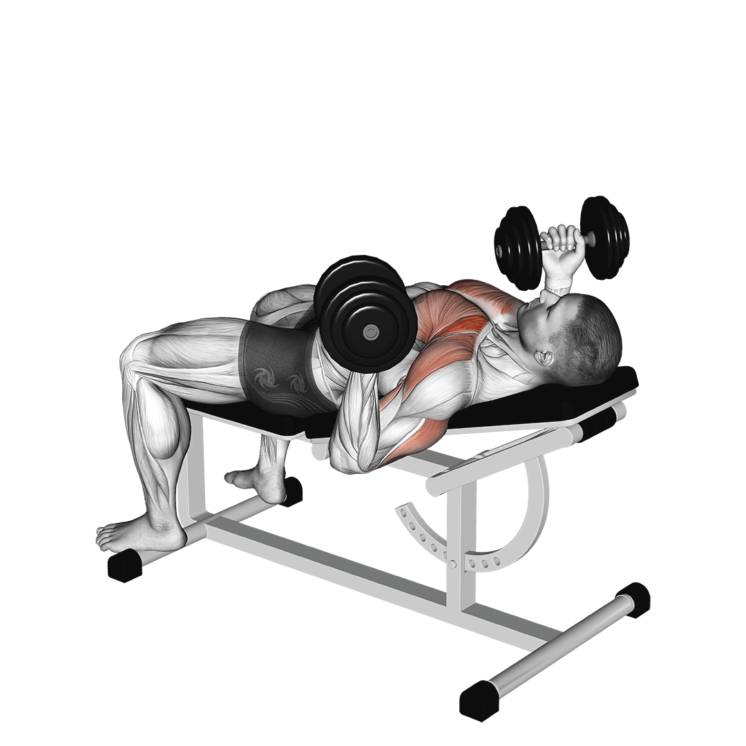 پرس بالا سینه دمبل دست معکوس (Dumbbell Incline Reverse Grip Bench) — حرکت سینه (آموزش تصویری)