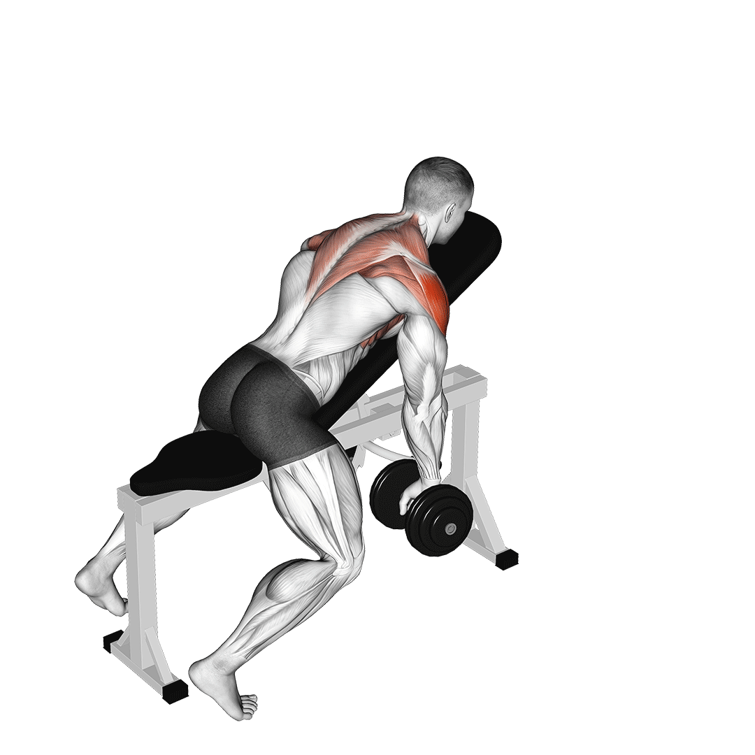 نشر جانب Y روی میز شیبدار (Dumbbell Incline Y Raise) — حرکت سرشانه (آموزش تصویری)