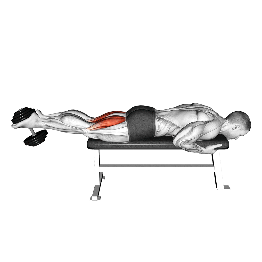 پشت پا دمبل (Dumbbell Leg Curl) — حرکت همسترینگ (آموزش تصویری)