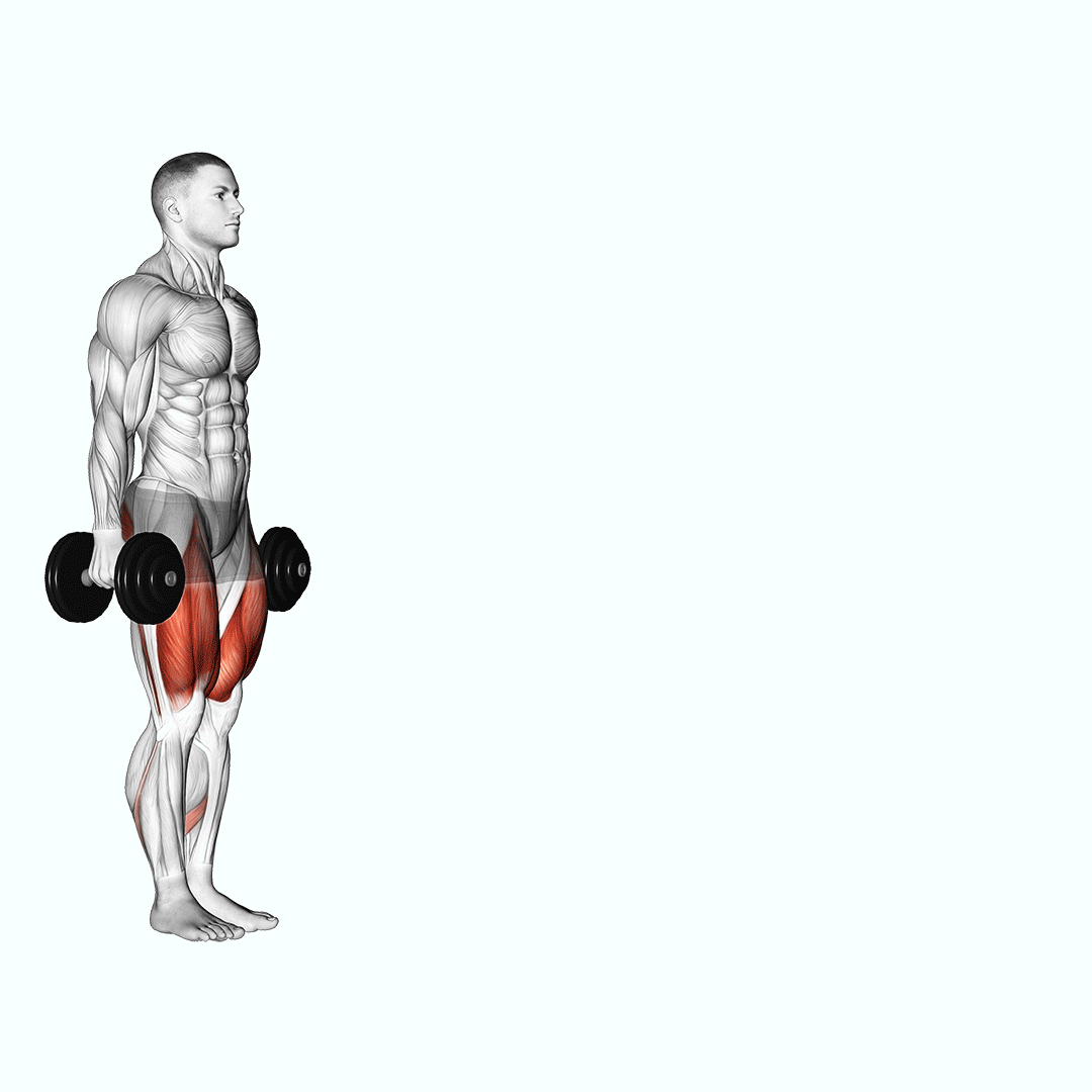 لانژ دمبل (Dumbbell Lunge) — حرکت چهارسر (آموزش تصویری)