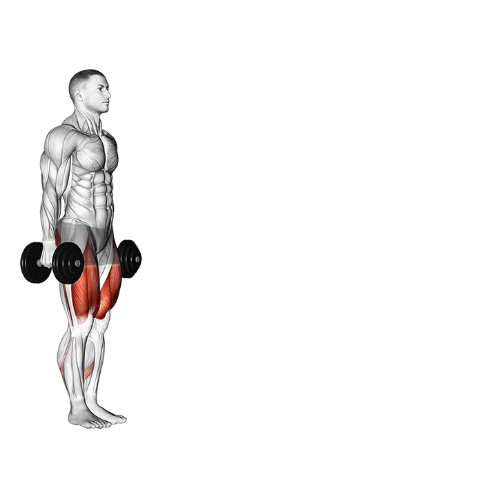 لانژ دمبل متناوب (Dumbbell Lunges) — حرکت چهارسر (آموزش تصویری)