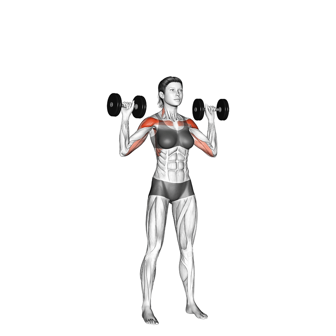 پرس سرشانه دمبل (Dumbbell Military Press) — حرکت سرشانه (آموزش تصویری)