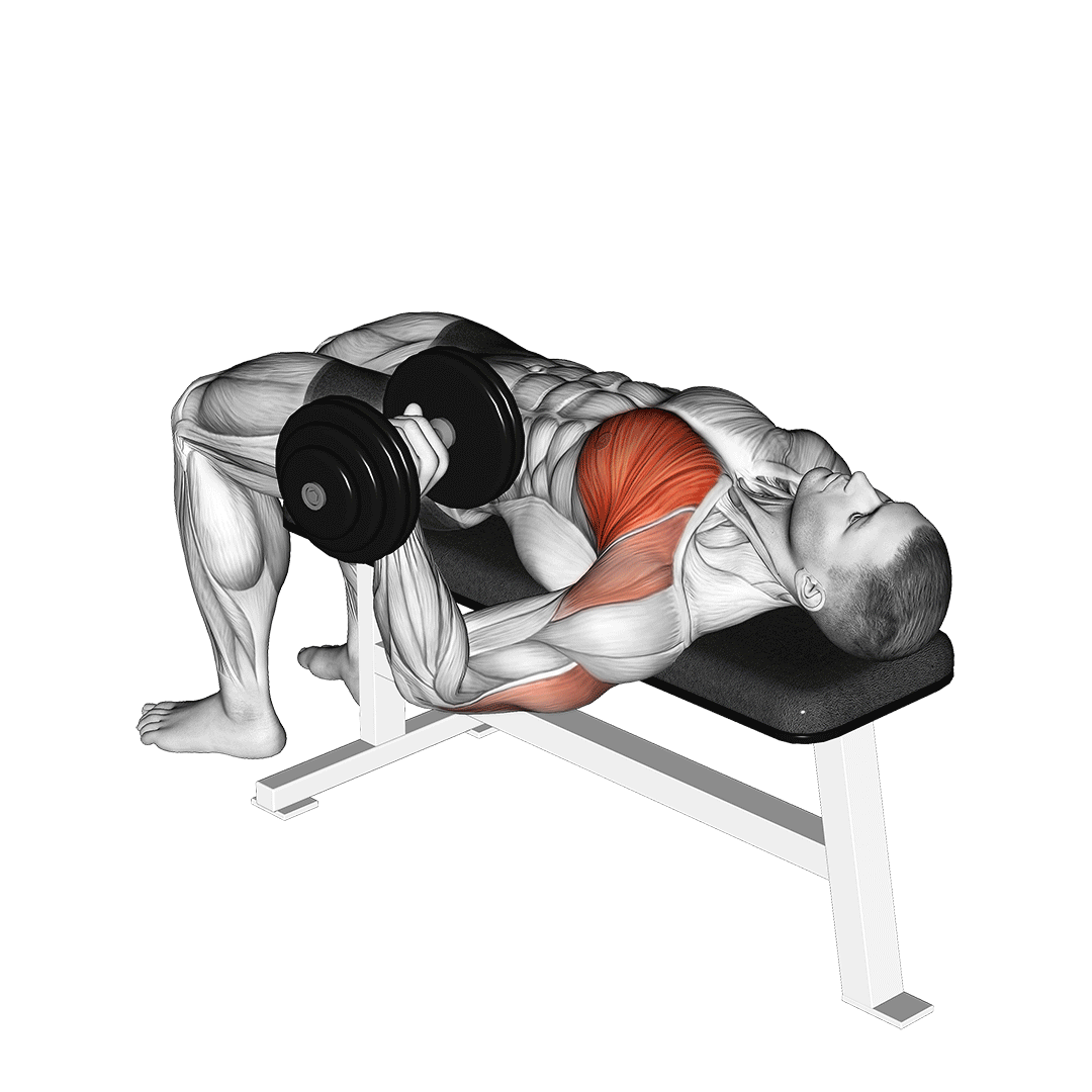 پرس سینه دمبل تکدست (Dumbbell One Arm Chest Press) — حرکت سینه (آموزش تصویری)