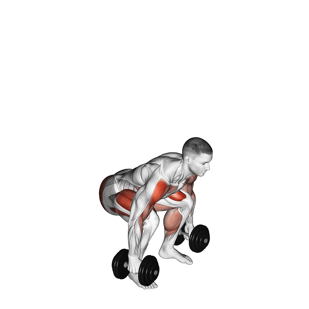 پاور کلین دمبل (Dumbbell Power Clean Animated) — حرکت کل بدن (آموزش تصویری)