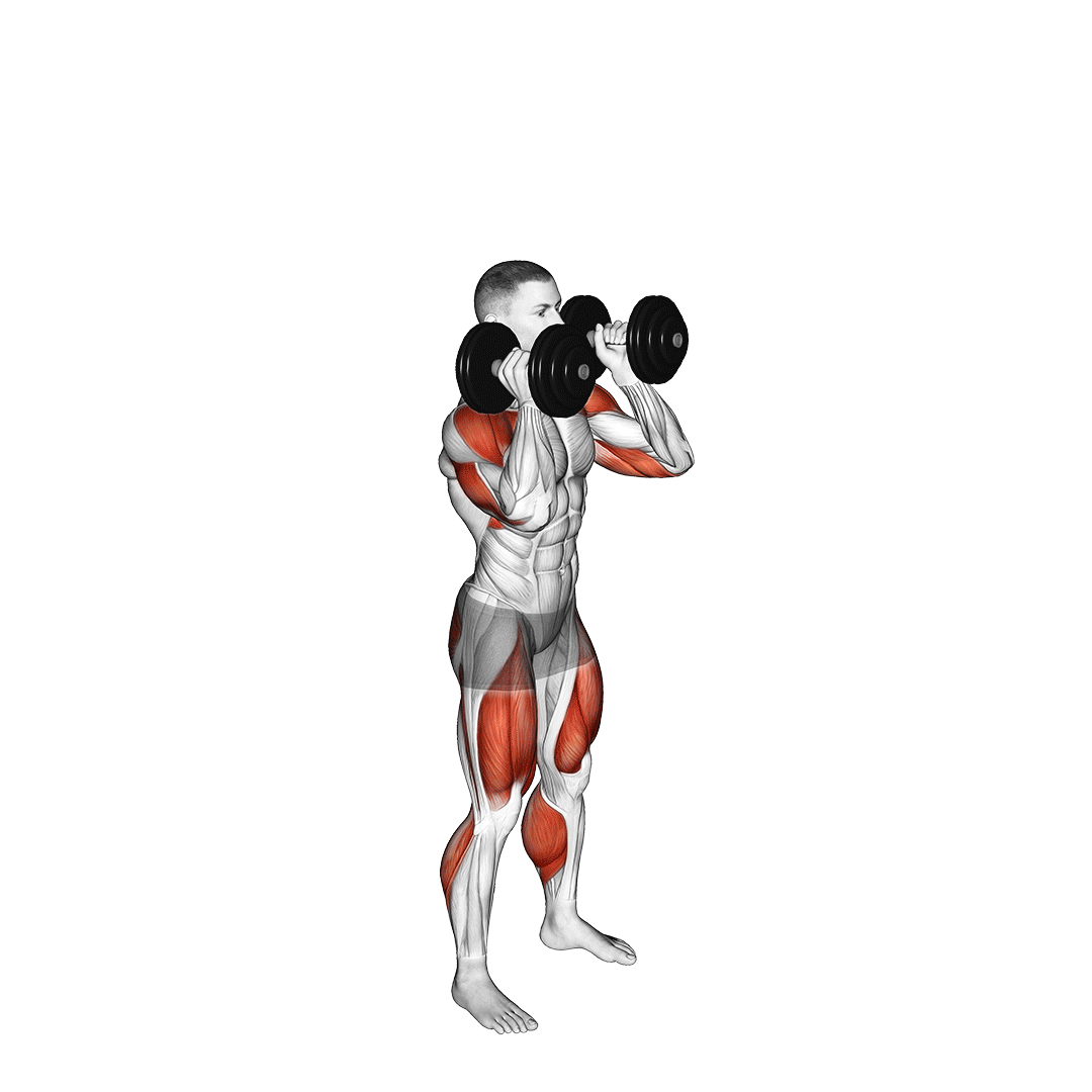 پوش جرک دمبل (Dumbbell Push Jerk) — حرکت سرشانه (آموزش تصویری)