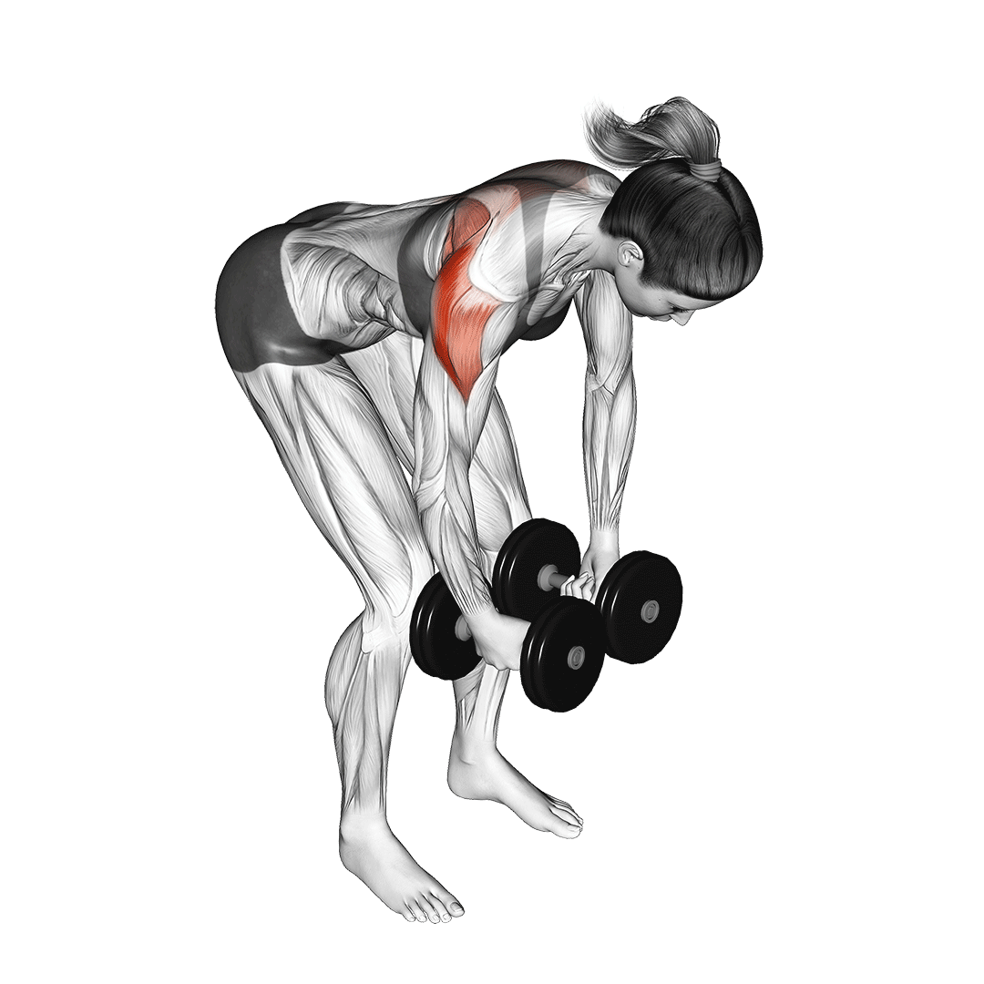نشر خم دمبل (Dumbbell Rear Delt Fly) — حرکت سرشانه (آموزش تصویری)