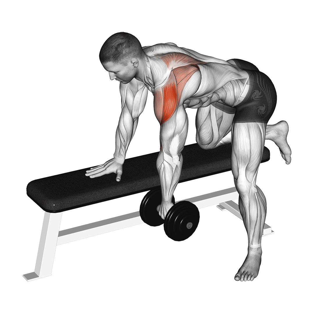زیربغل دمبل خم (Dumbbell Rear Delt Row) — حرکت زیربغل (آموزش تصویری)