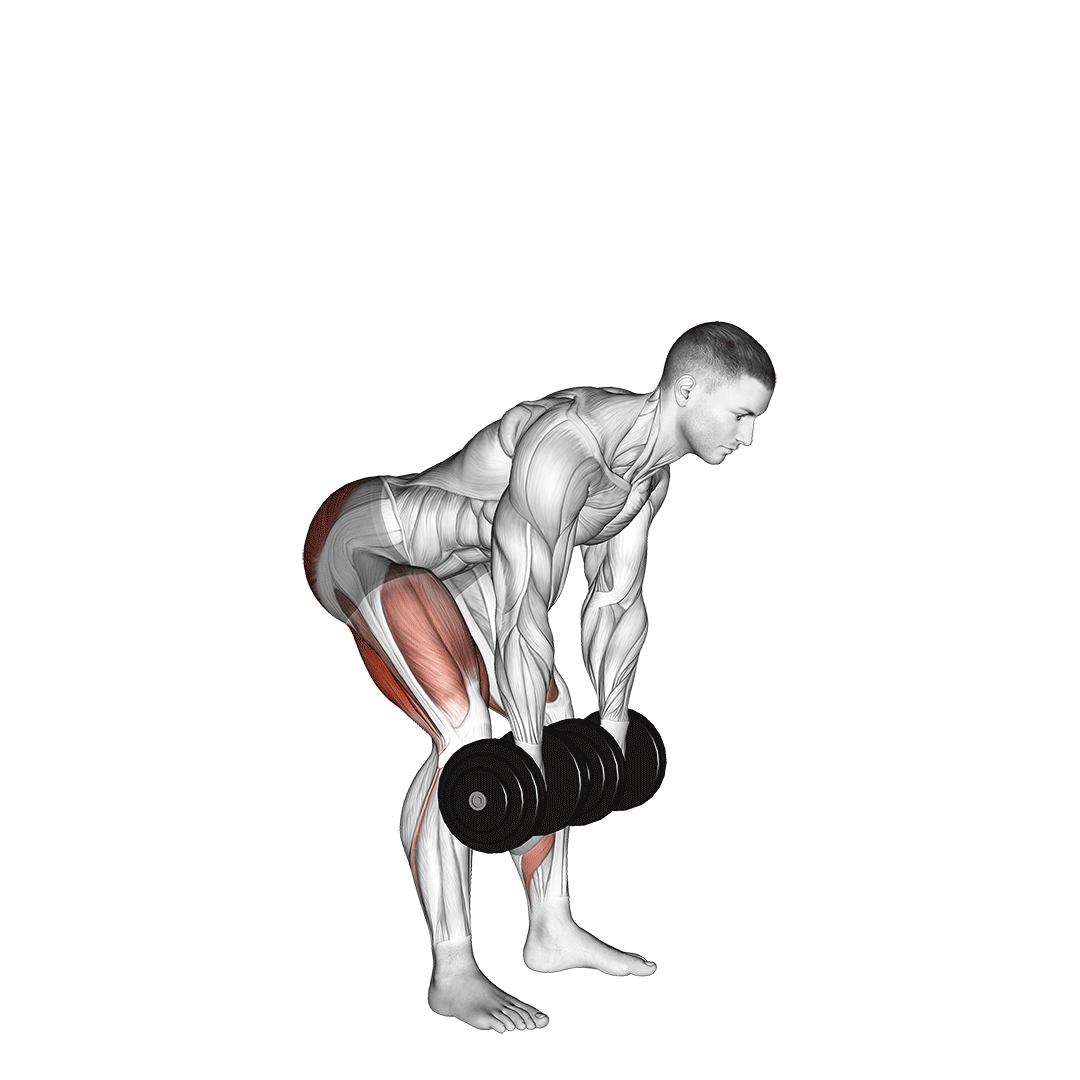 ددلیفت رومانیایی دمبل (Dumbbell Romanian Deadlift) — حرکت همسترینگ (آموزش تصویری)