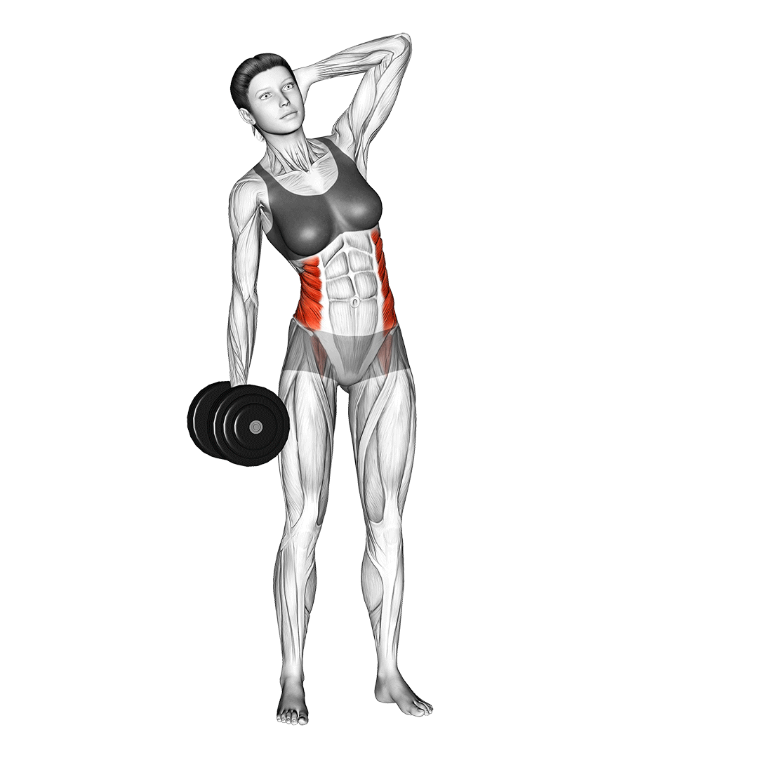 پهلو دمبل (Dumbbell Side Bend) — حرکت شکم (آموزش تصویری)