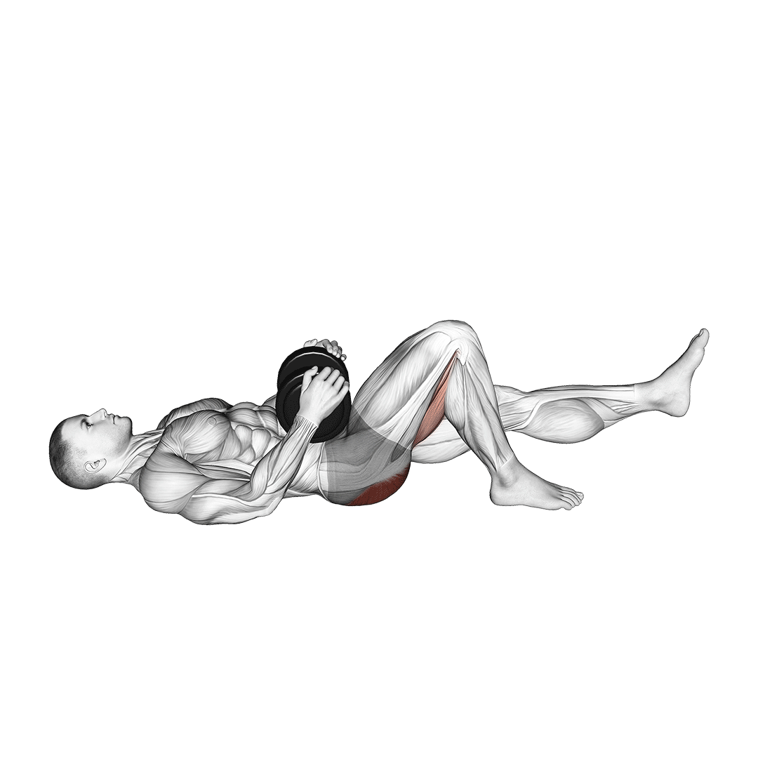 پل باسن تک پا دمبل (Dumbbell Single Leg Glute Bridge) — حرکت باسن (آموزش تصویری)