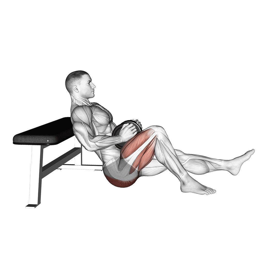 هیپ تراست تک پا دمبل (Dumbbell Single Leg Hip Thrust) — حرکت باسن (آموزش تصویری)