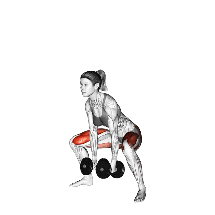 ددلیفت سومو دمبل (Dumbbell Sumo Deadlift) — حرکت چهارسر (آموزش تصویری)