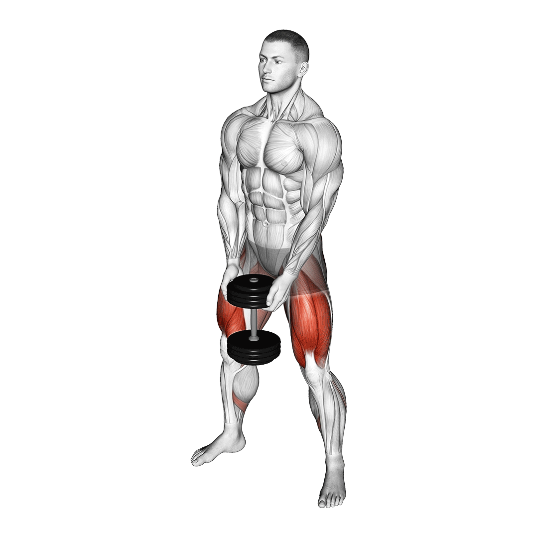 اسکوات سومو دمبل (Dumbbell Sumo Squat) — حرکت چهارسر (آموزش تصویری)