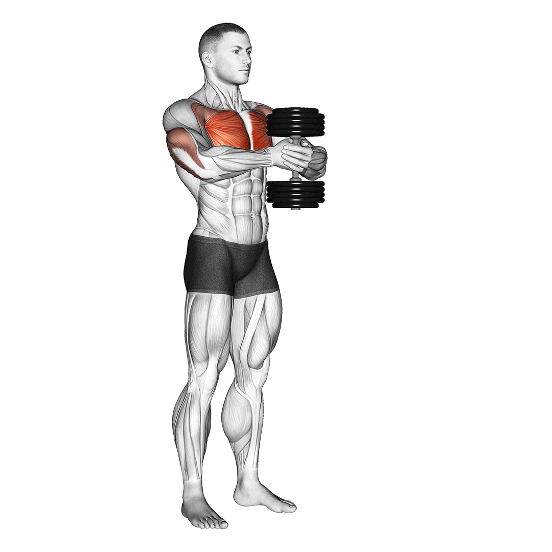 پرس اسوند دمبل (Dumbbell Svend Press) — حرکت سینه (آموزش تصویری)