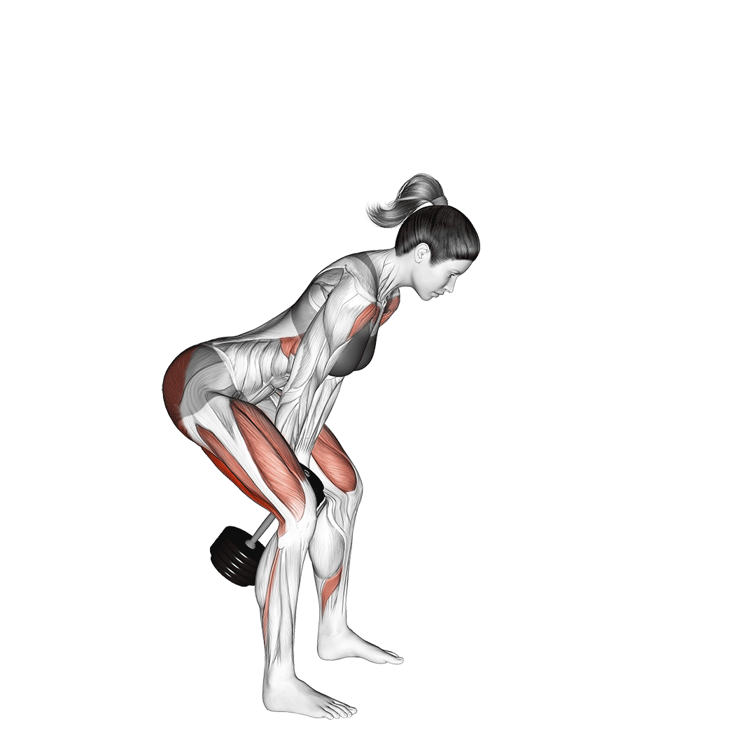 سویینگ دمبل (Dumbbell Swings) — حرکت باسن (آموزش تصویری)