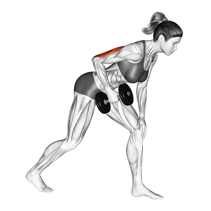 پشتبازو کیکبک دمبل (Dumbbell Tricep Kickback) — حرکت پشتبازو (آموزش تصویری)