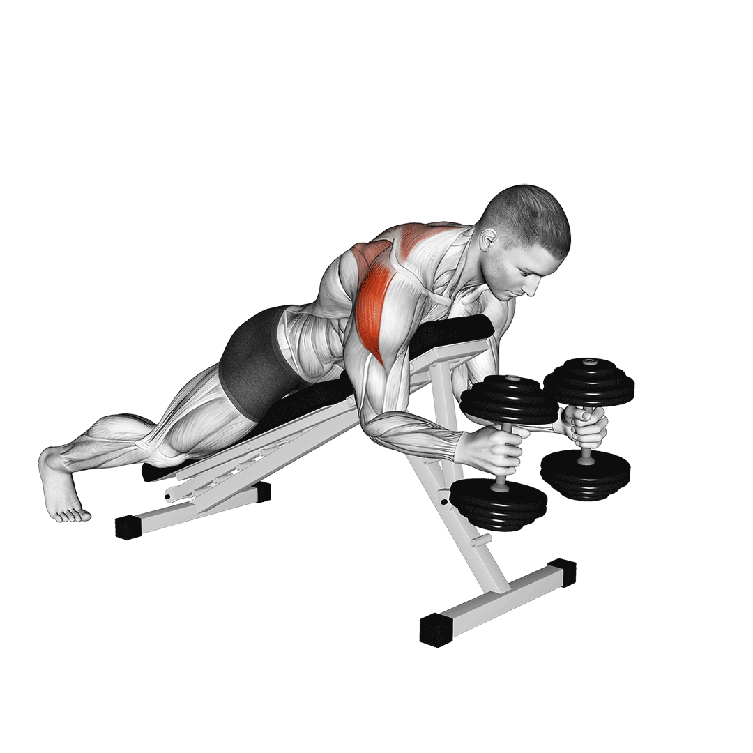 نشر دبلیو دمبل (Dumbbell W Raise) — حرکت سرشانه (آموزش تصویری)