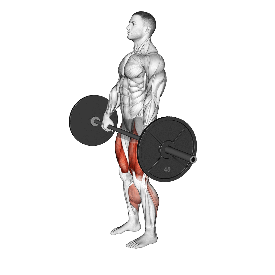 ددلیفت منفی (Eccentric Deadlift) — حرکت همسترینگ (آموزش تصویری)