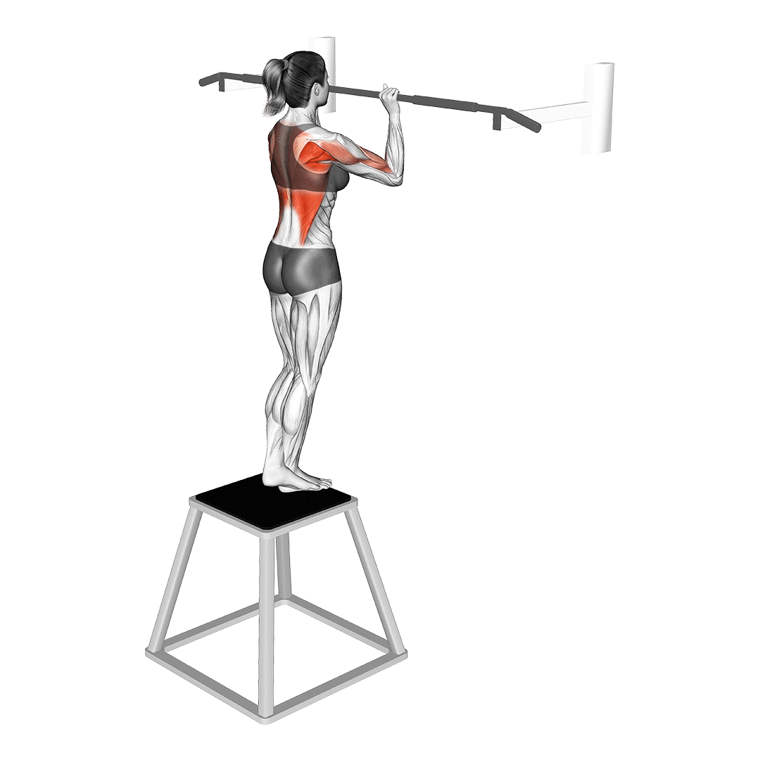 بارفیکس منفی (Eccentric Pull Up) — حرکت زیربغل (آموزش تصویری)