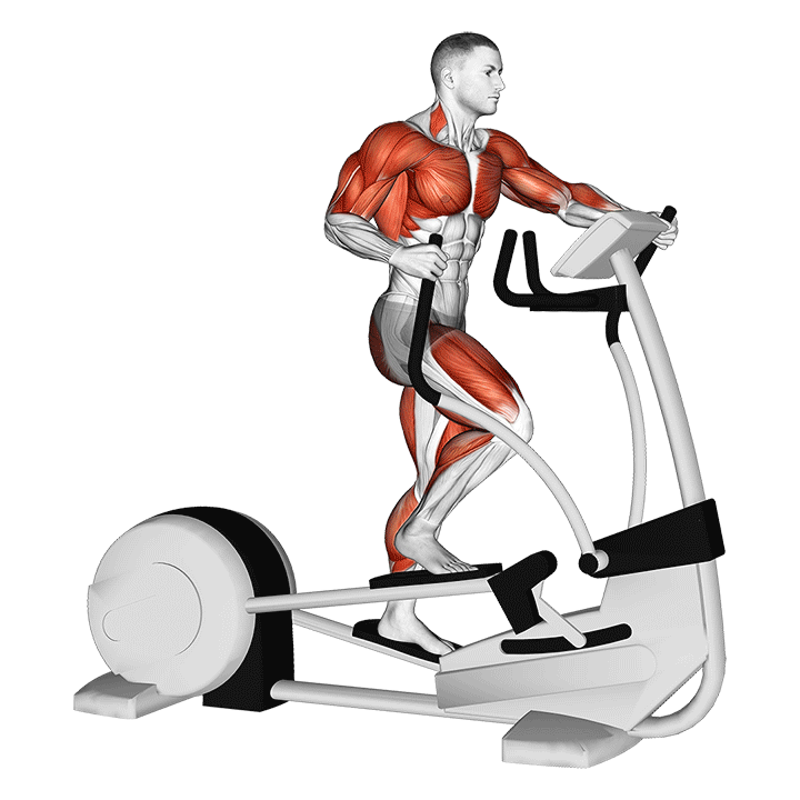 اسکی فضایی (Elliptical Muscles) — حرکت هوازی (آموزش تصویری)