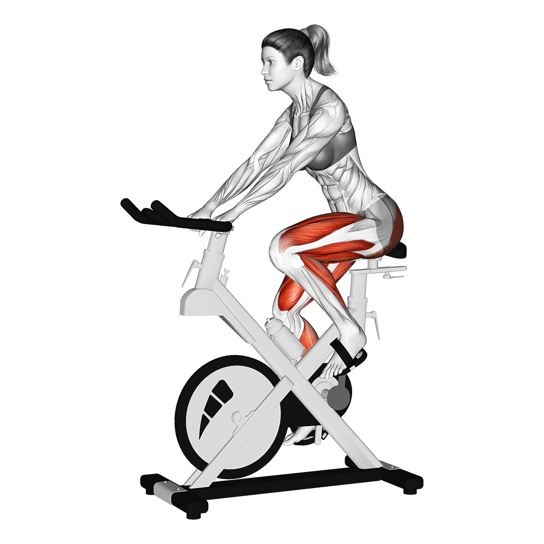 دوچرخه ثابت (Exercise Bike) — حرکت هوازی (آموزش تصویری)