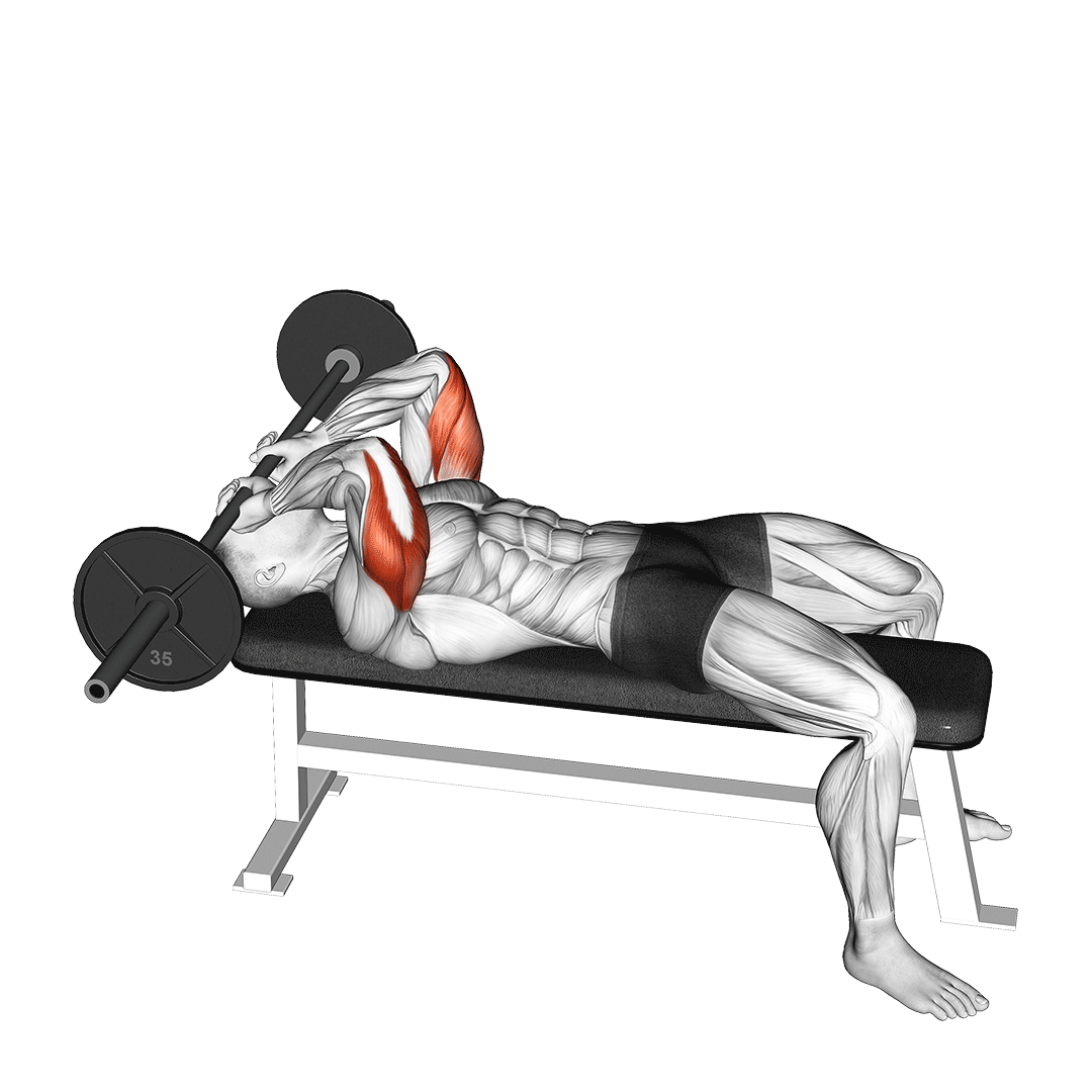 پشت‌بازو خوابیده هالتر (Flat Bench Skull Crusher) — حرکت پشت‌بازو (آموزش تصویری)