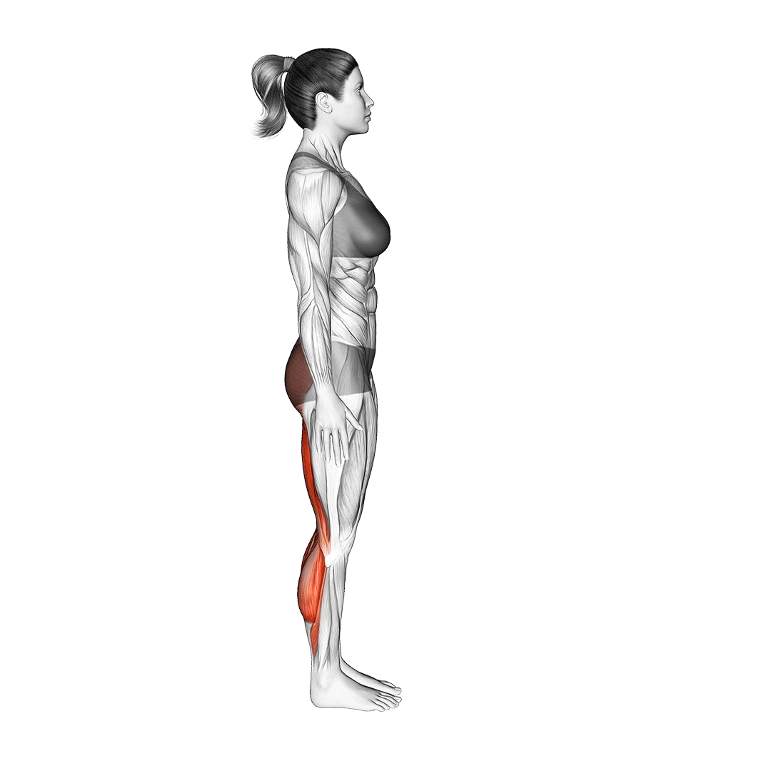خم شدن به جلو (Forward Bend) — حرکت همسترینگ (آموزش تصویری)