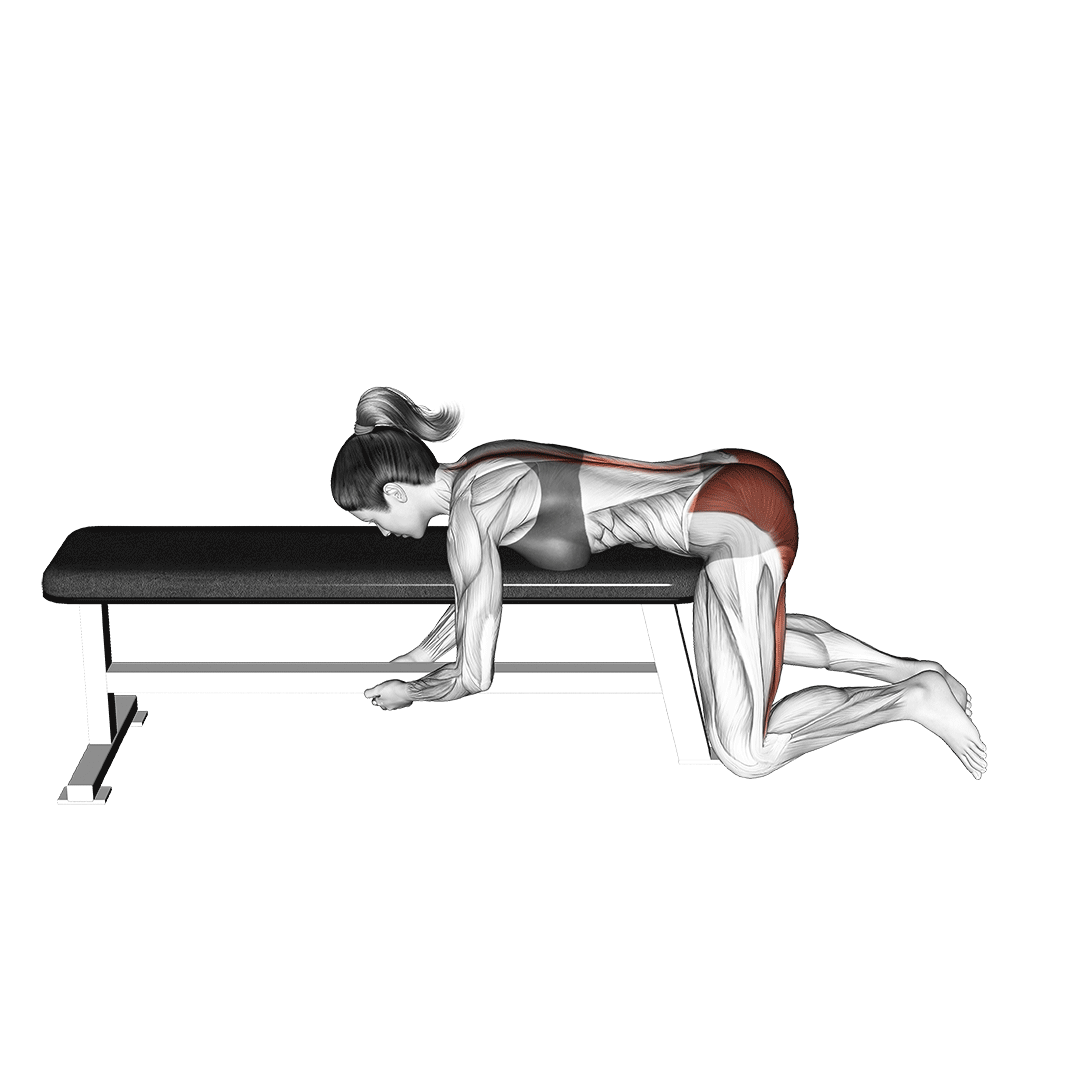 فیله معکوس قورباغهای (Frog Reverse Hyperextension) — حرکت باسن (آموزش تصویری)