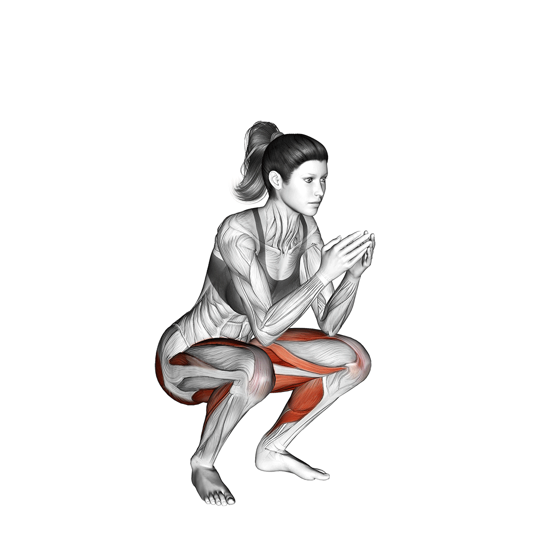 اسکوات قورباغهای (Frog Squat) — حرکت چهارسر (آموزش تصویری)