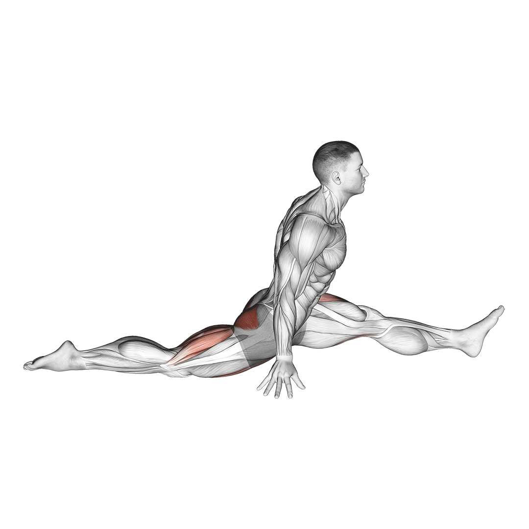 حرکت پا باز (180 درجه) (Front Split Pose) — حرکت چهارسر (آموزش تصویری)