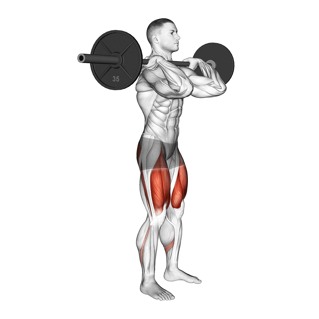اسکوات از جلو با گریپ کلین (Front Squat Clean Grip) — حرکت چهارسر (آموزش تصویری)