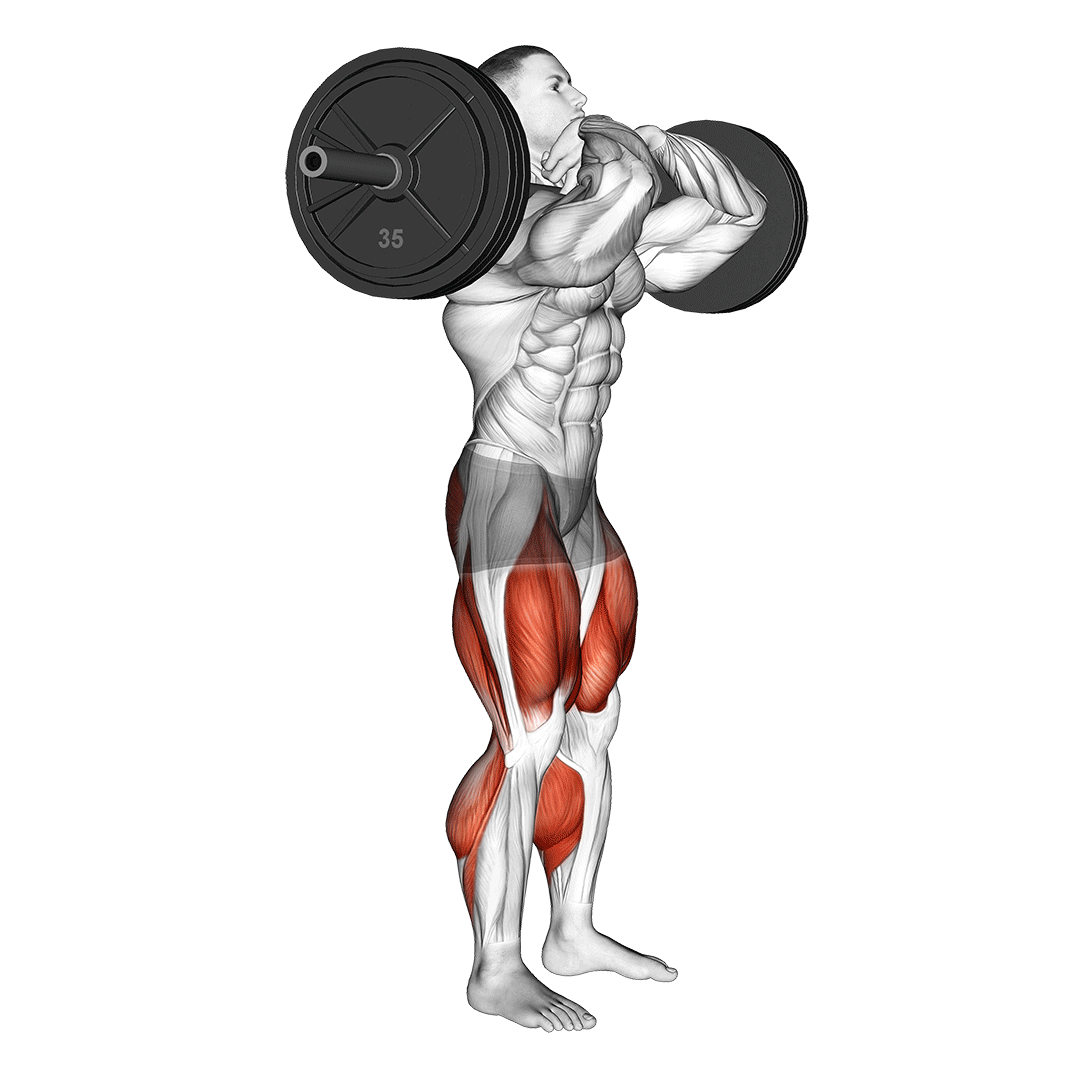 اسکوات از جلو با نوک انگشتان (Front Squat Finger Tip Grip) — حرکت چهارسر (آموزش تصویری)