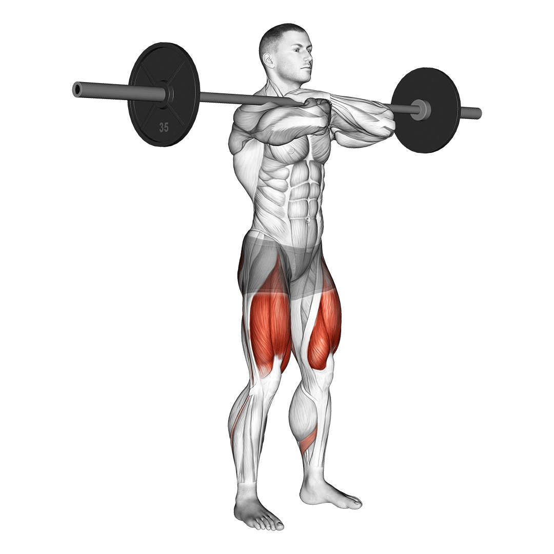 اسکوات از جلو (Front Squat) — حرکت چهارسر (آموزش تصویری)