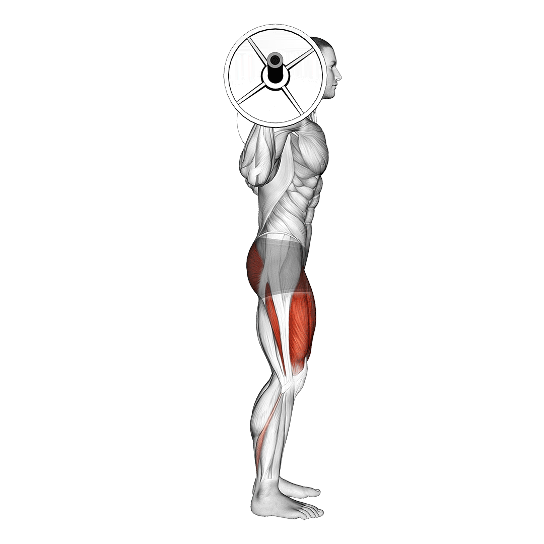 اسکوات کامل (Full Squat Side View) — حرکت چهارسر (آموزش تصویری)