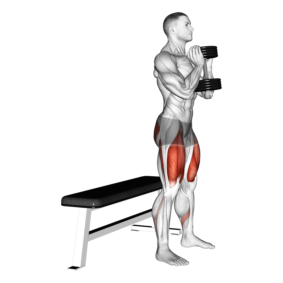 اسکوات گابلت روی باکس (Goblet Box Squat) — حرکت چهارسر (آموزش تصویری)