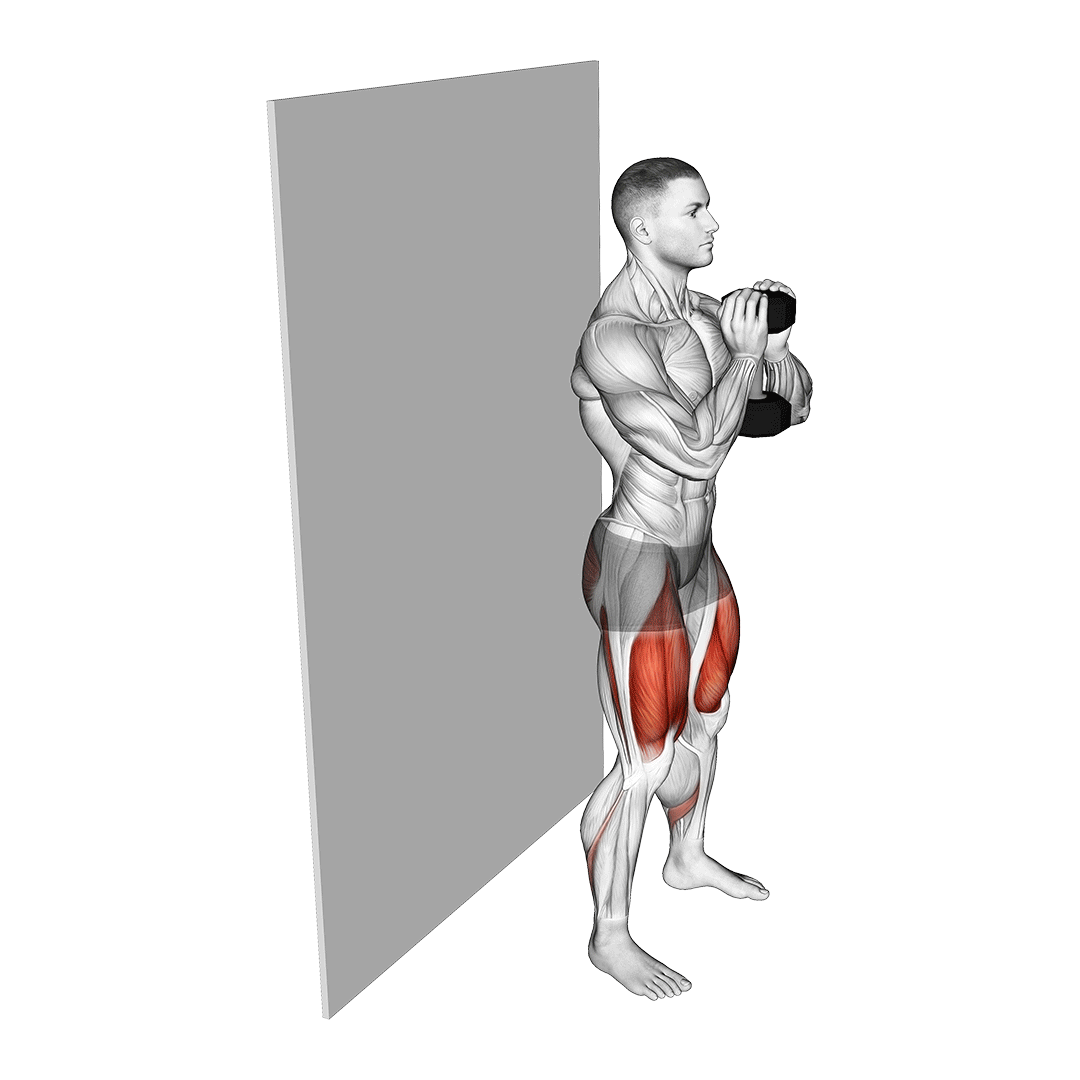 والست گابلت (Goblet Wall Sit Muscles) — حرکت چهارسر (آموزش تصویری)