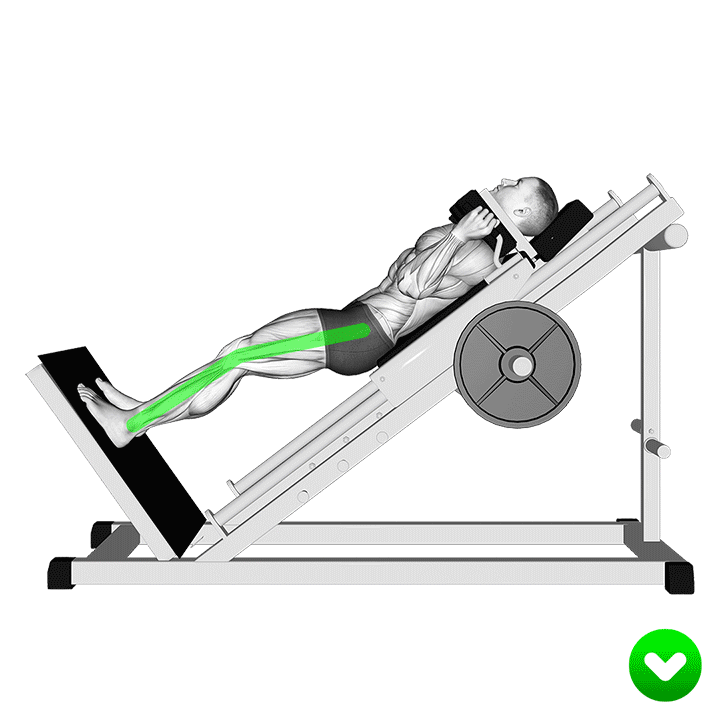 هک اسکوات (اشتباه) (Hack Squat Bad Form) — حرکت چهارسر (آموزش تصویری)