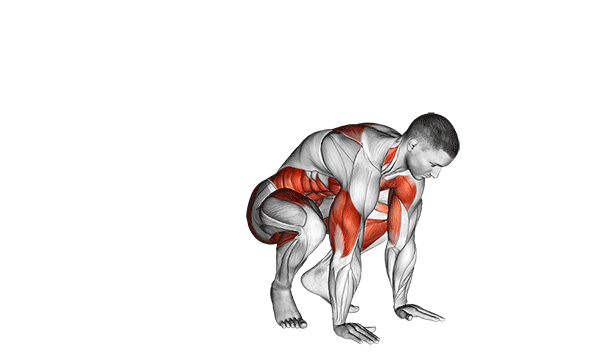 نیمبرپی (Half Burpee) — حرکت هوازی (آموزش تصویری)