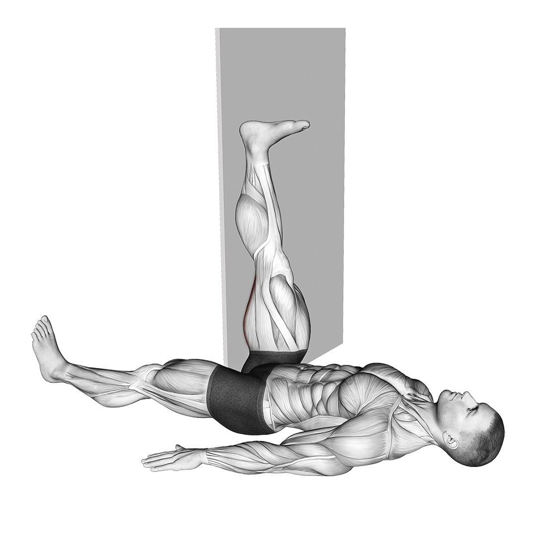 کشش همسترینگ با دیوار (Hamstring Wall Stretch) — حرکت همسترینگ (آموزش تصویری)