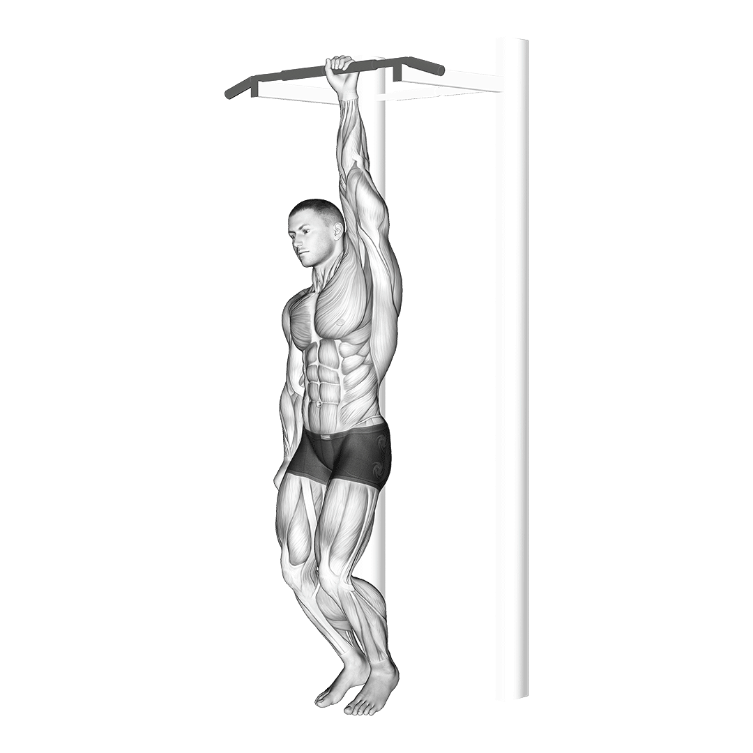 کشش زیربغل آویزان (Hanging Lat Stretch) — حرکت زیربغل (آموزش تصویری)