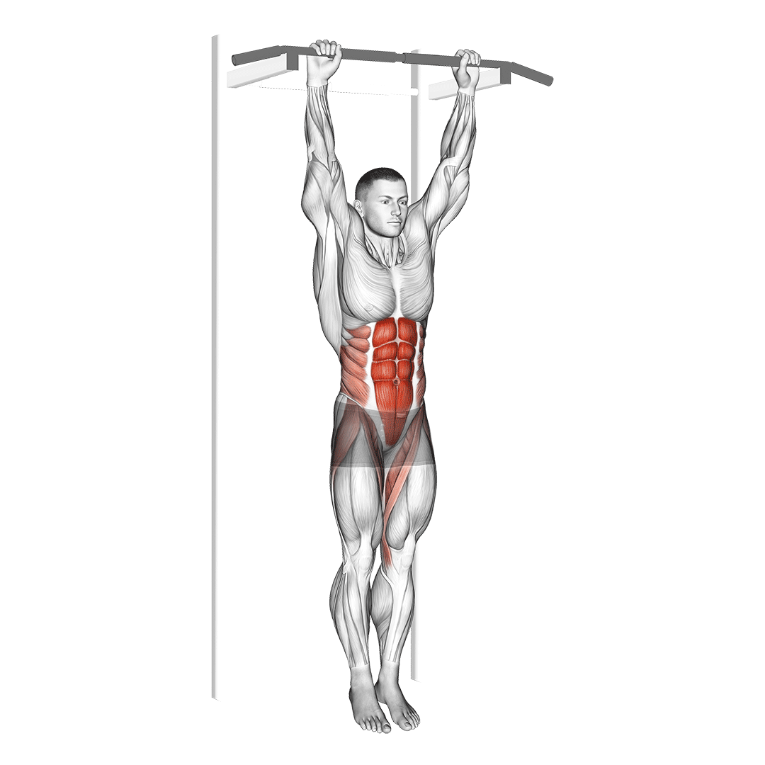 بالا آوردن پا آویزان (Hanging Leg Raise Movement) — حرکت شکم (آموزش تصویری)