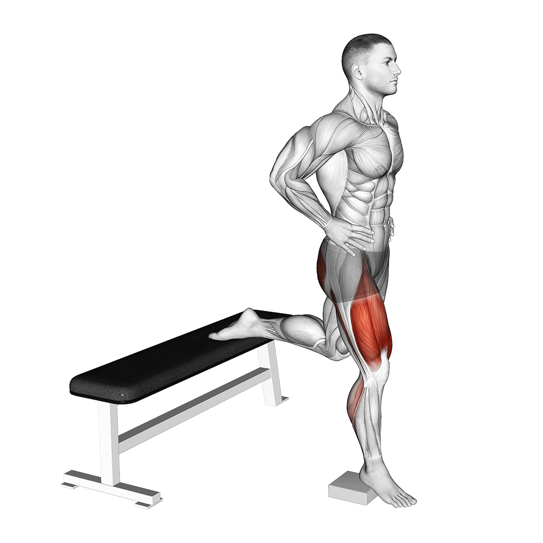 اسکوات بلغاری با پاشنه بالا (Heel Elevated Bulgarian Split Squat Muscles) — حرکت چهارسر (آموزش تصویری)