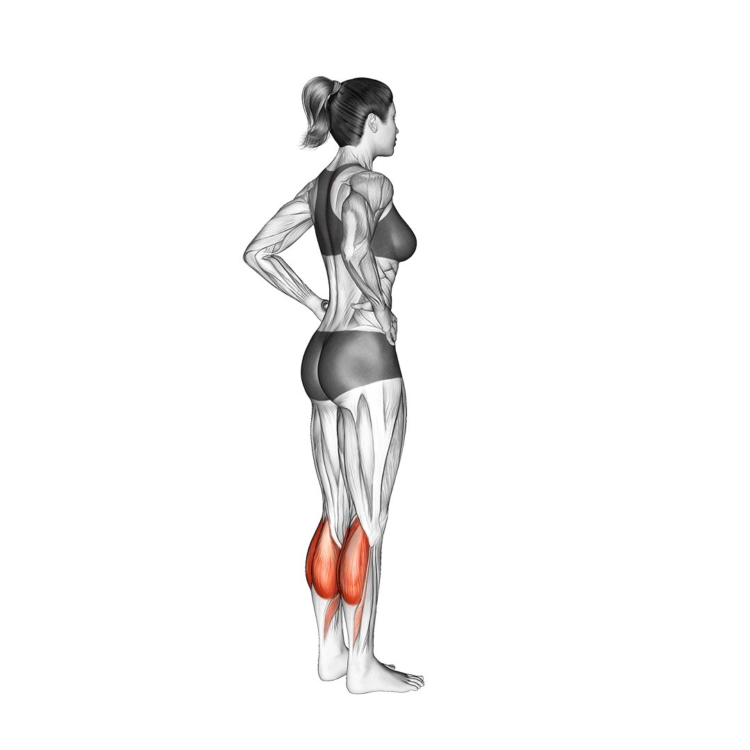 ساق پا ایستاده (Heel Raises) — حرکت ساق (آموزش تصویری)