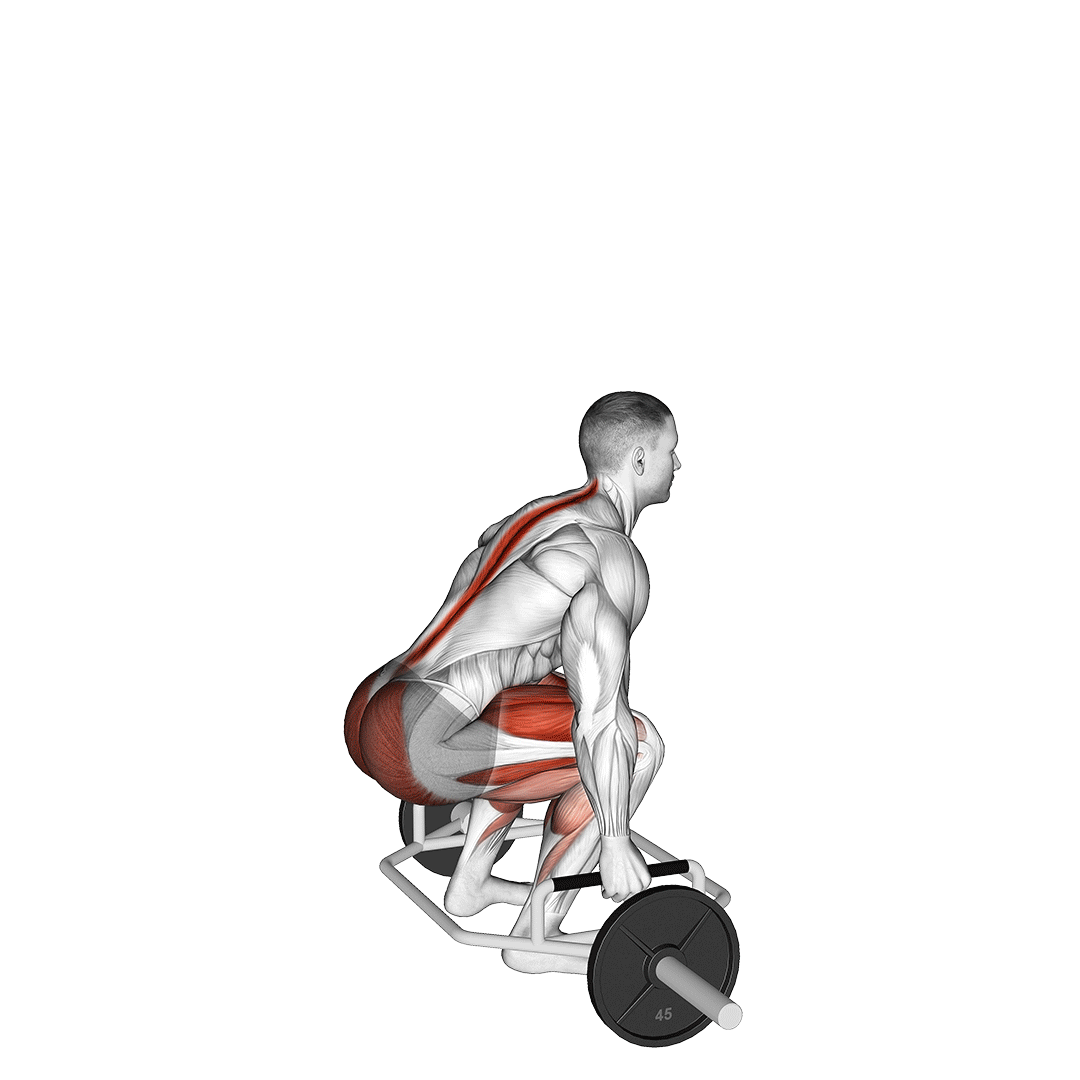 ددلیفت هگزبار (Hex Bar Deadlift) — حرکت چهارسر (آموزش تصویری)