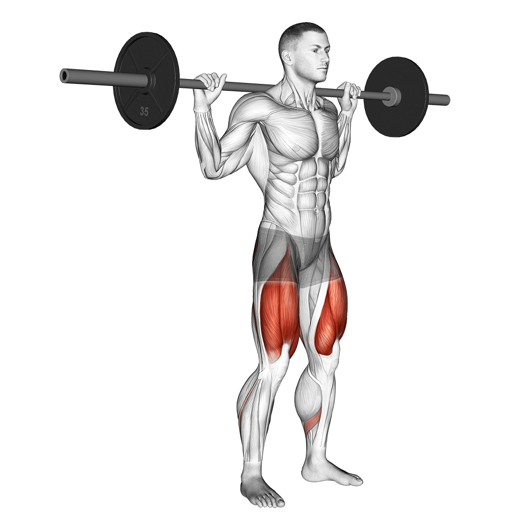 اسکوات هالتر بالا (High Bar Squat Form) — حرکت چهارسر (آموزش تصویری)