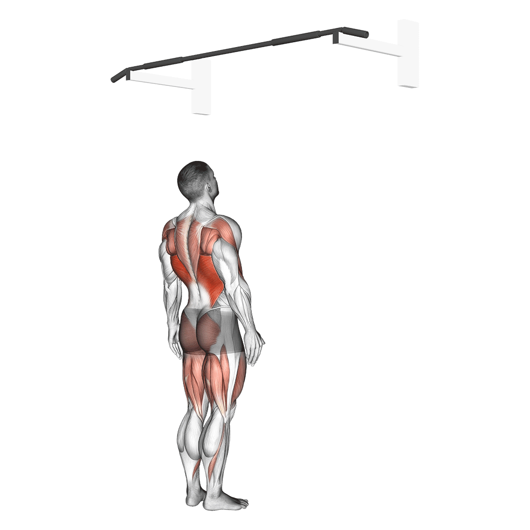 بارفیکس پرشی (How To Do A Jumping Pull Up) — حرکت زیربغل (آموزش تصویری)