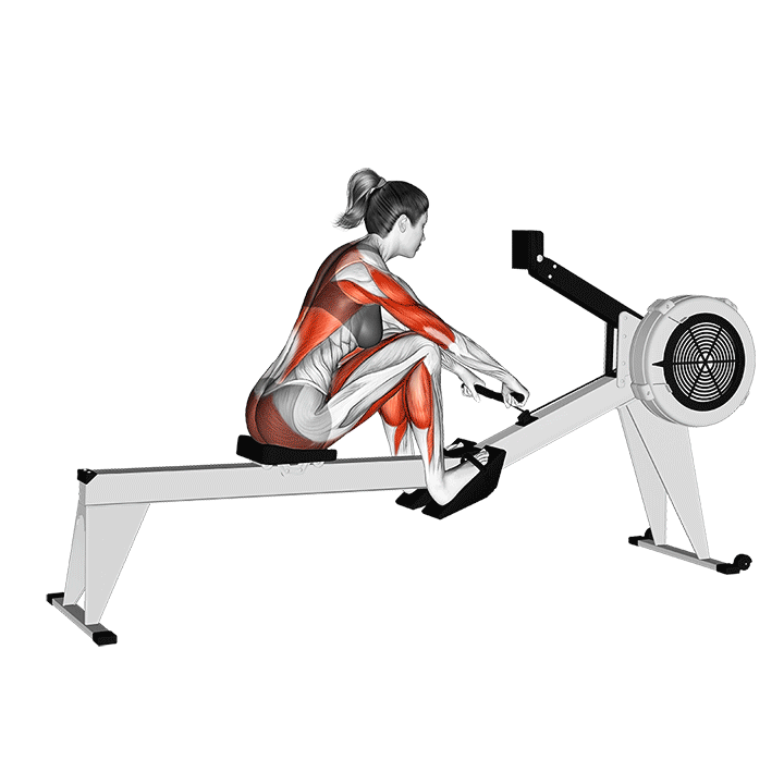زیربغل دمبل خم (How To Row) — حرکت زیربغل (آموزش تصویری)