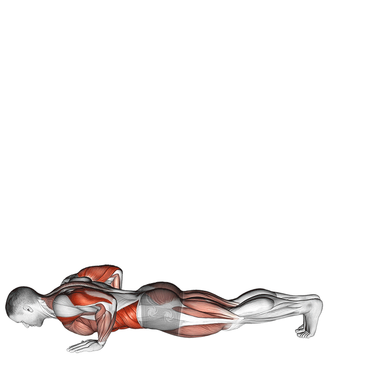 حرکت کرمابریشم (Inchworm Muscles) — حرکت کل بدن (آموزش تصویری)
