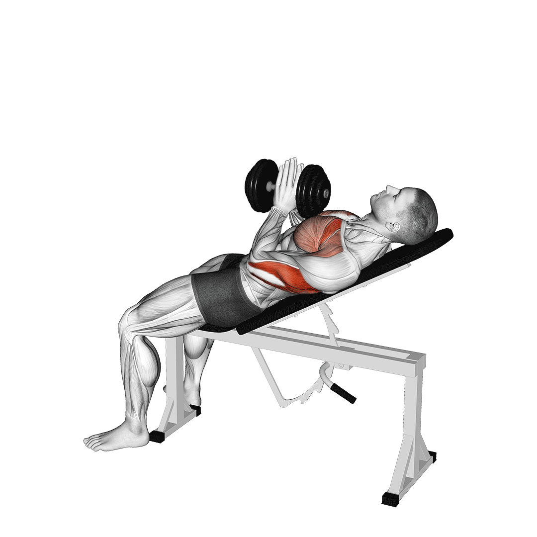 پرس بالا سینه دست جمع (Incline Close Grip Press) — حرکت سینه (آموزش تصویری)